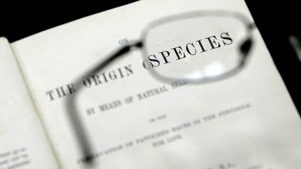 Z britské knihovny zmizely cenné deníky Charlese Darwina